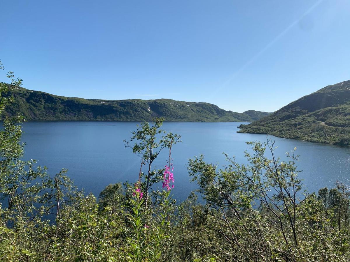 Hoyanger 3 Roms Leilighet Esterno foto